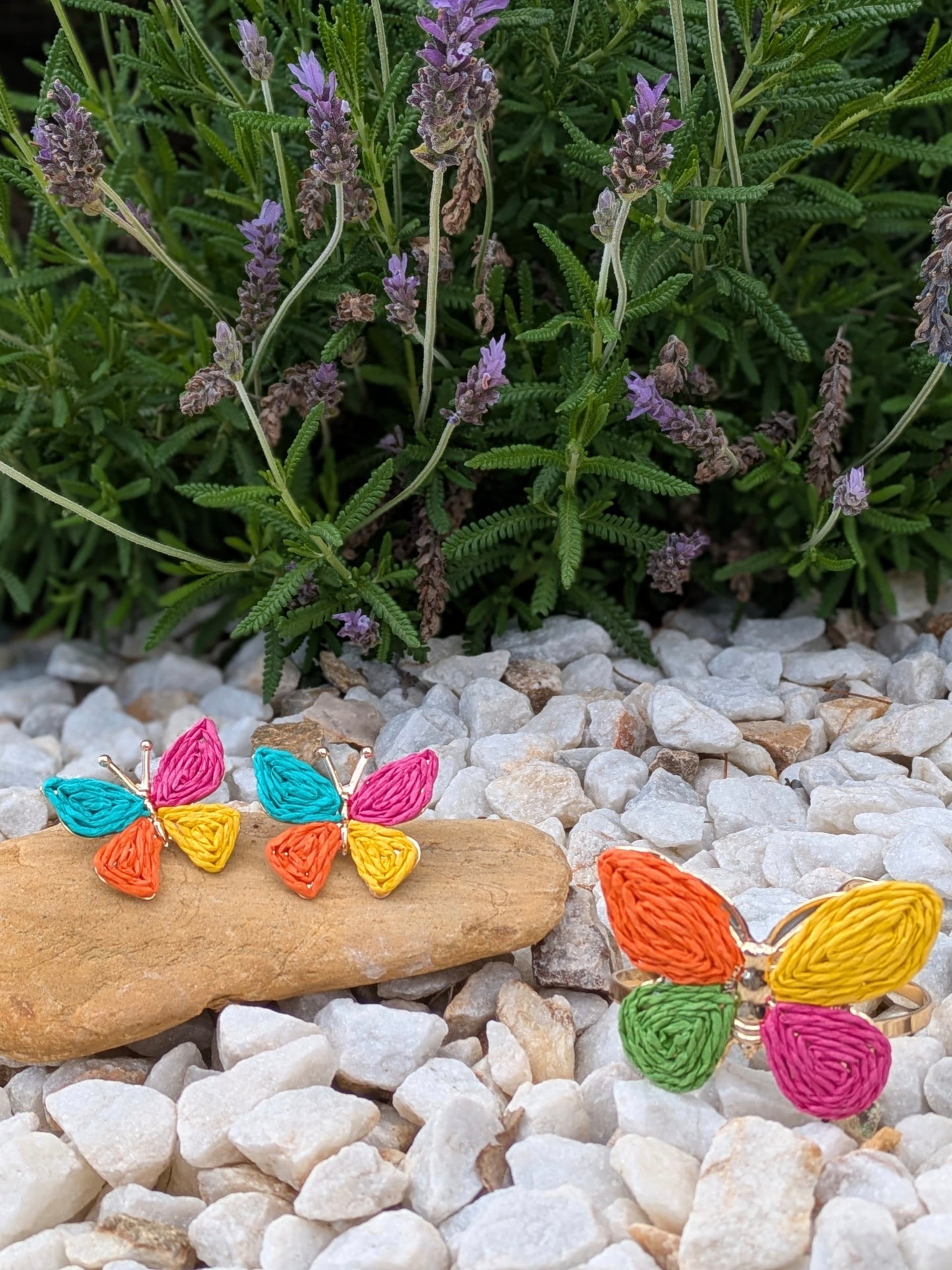 CONJUNTO butterfly